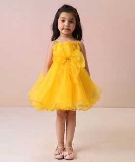 Yellow Organza Dress
