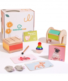 Montessori Box- 5 Months (Level- 3) Toys