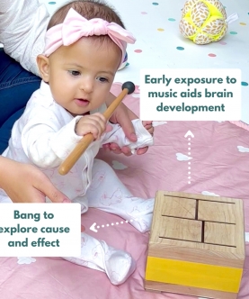 Montessori Box- 5 Months (Level- 3) Toys