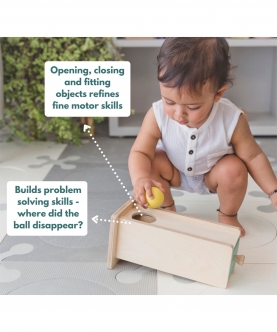 Montessori Box- 9 Months (Level- 5) Toys