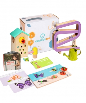 Montessori Box- 16 Months (Level- 8) Toys