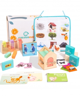 Montessori Box- 21 Months (Level- 10) Toys