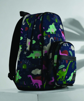 Dinosaur Printed Bag Pack