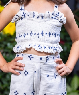 Shifali Blue  Crop Top and Pants Co-ord