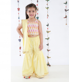 Ikkat Top With Pleated Palazoo Set