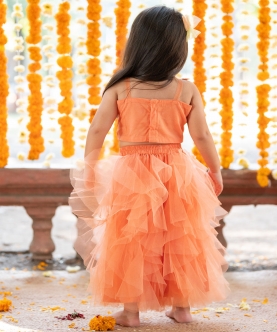 Vibrant Tulle Style Dress With Flower Embroidery On Top