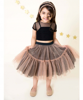 Peach Shimmer Skirt With Black Mesh Top