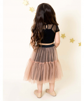 Peach Shimmer Skirt With Black Mesh Top