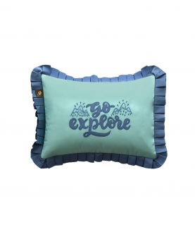 Go Explore Pillow