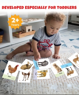 Numbers Flash Cardss (32 Cards) | Fun Learning