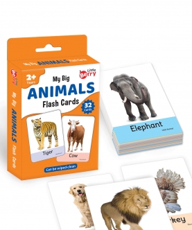 Animals Flash Cardss (32 Cards) | Fun Learning