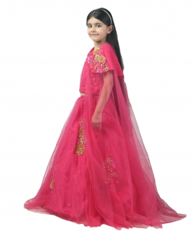 Pink Net Embroidered Lehenga With Cape Sleeves