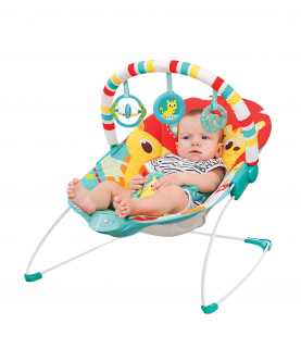 Soothing Vibration Bouncer