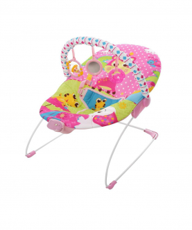 Soothing Vibration Bouncer