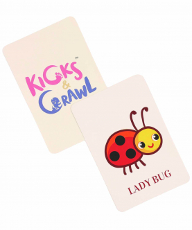 Kicks And Crawl- Bugs In The Garden Flashcards