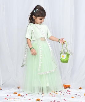 Lime Green Net Lengha With Sequin Blouse