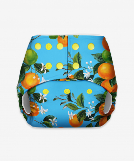Basic Pocket Diaper - Freesize Adjustable, Washable and Reusable pocket cloth diaper for day time use (with dry feel pad/soaker/insert)(Peaches)