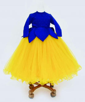 Blue And Yellow Net Gown