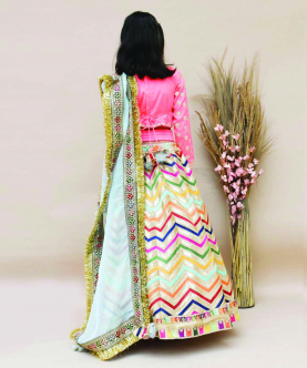 Pink Choli With Embroidery Lehenga