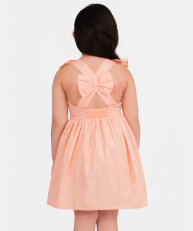 Peach Flared Ruffle Neck Dress 