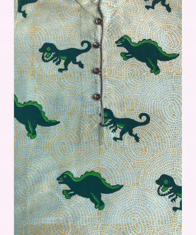 Dinosaur Theme Printed Kurta Set