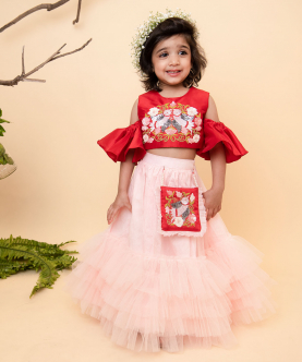 Red Top And Pink Ghaghra Set