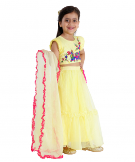 Elephant Embroidered Top With Yellow Ghaghra And Dupatta