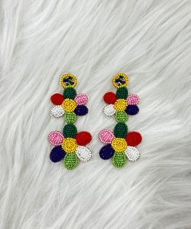 Multi Coloured Earrings
