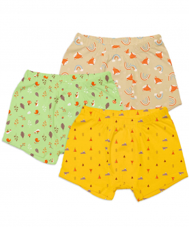 SuperBottoms Young Boy Trunks (Pack of 3) -Woody Goody