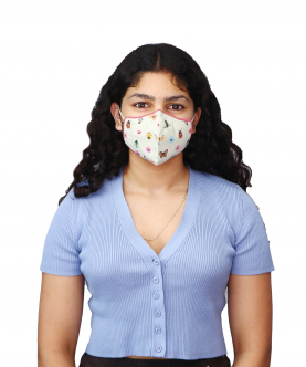 Airific Bugs Anti Viral & Anti Pollution Mask