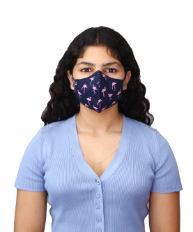 Airific Stand Tall Anti Viral & Anti Pollution Mask