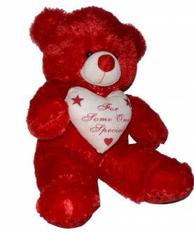 Cute Soft Teddy Bear for Girls Kids (Made in India)