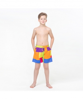 Multicolored Blocks  Fun In The Sun Shorts