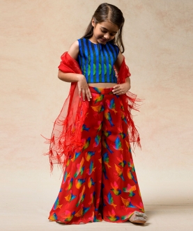 Mini Me Hand Embroidered Saree,With Top & Sharara