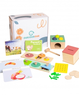 Montessori Box- 13 Months (Level- 7) Toys