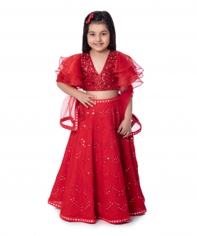 Red Mirrored Skirt With Sequin Choli 