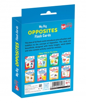Opposites Flash Cardss (32 Cards) | Fun Learning