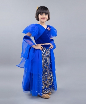 Ghaghra Choli With Gold Embroidery