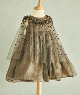 Hand Embroidered Cape And Silk Organza Dress