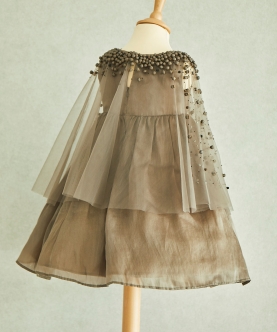 Hand Embroidered Cape And Silk Organza Dress