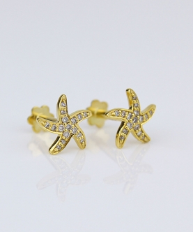 Glitterly star Earrings