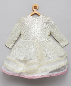 Silver Sequins Frock with Butterfly