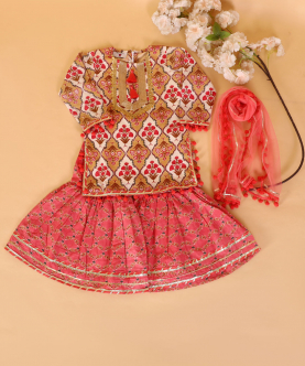 Beige-Pink Mughal Jaal Sharara Set
