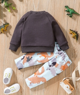 Baby Boy Sweatshirt & Sweatpants