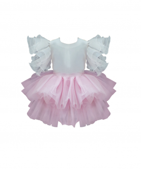 Powder Pink Tutu Skirt With White Top 
